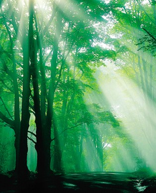 ���_�m���C�Ҽ���˯���еĿ՚�S����-ؓ���x��