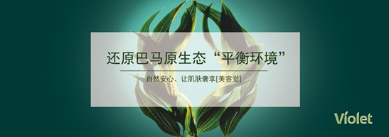 ����˯����ه��Violet���C�Ҽ�