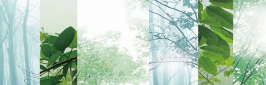 ����˯����ه��Violet���C�Ҽ�