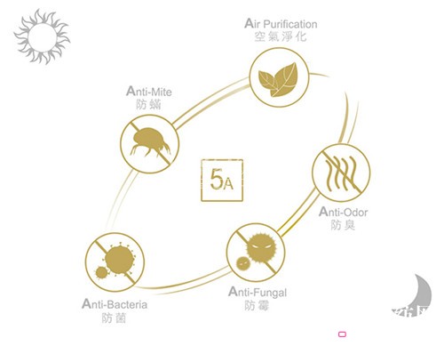 ������ɼ��F�������һվʽ�Ҿ������w��^�����L��׿չ