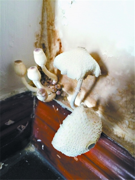 �û�����Ҿ���Ʒ�����^������ˬ��÷�꼾