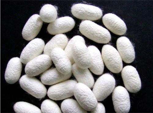 ͬ���ǽz�����W�_���{ʲô���f�������R����