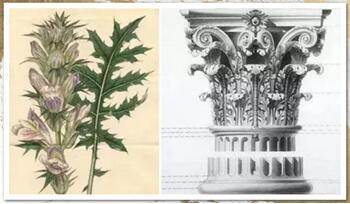 ����Ҽ��ζ��Aͥ���ŵ����c���s����ײ