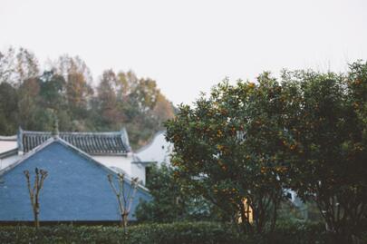 BEYONDSEVENSTAR��VISPRING�y�ִ��조���߿��g��