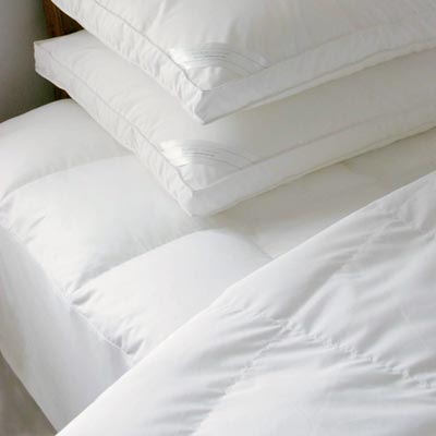 �Ƶ��e�^������q����q��о