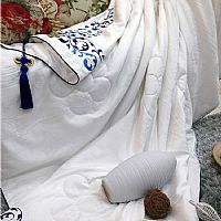 ���������ı�