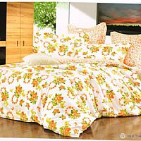 С�~���㣨С����