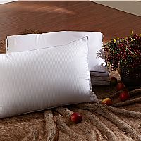 ���Z���Z�q��