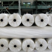 ��ճ�o����