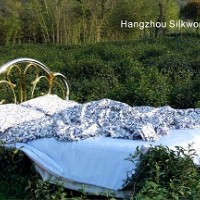 �z�I����