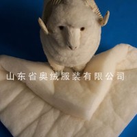 ��ë����Ƭ