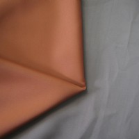 �p�憡���ڹⲼ