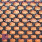 �����ξW�۲�