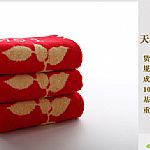 ���w�S��������