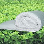 ��ɣ�Q�z��