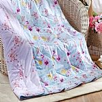 ȫ���ě���