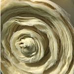 ��ȼ�o(w��)����