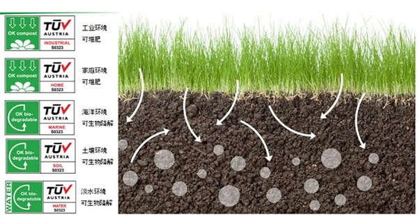 �۽��ɳ��m�lչ���c���ṩ��S��Q�������m�����Єӣ�